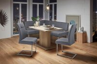 HOME AFFAIRE Freischwinger Rab