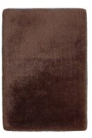 GUIDO MARIA KRETSCHMER HOME&LIVING Hochflor-Teppich Micro